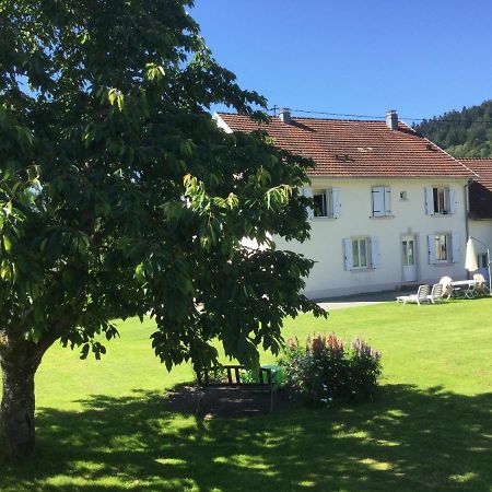 Gite Leonline Sur Les Hauteurs De Masevaux -Au Pied Des Vosges Exterior photo