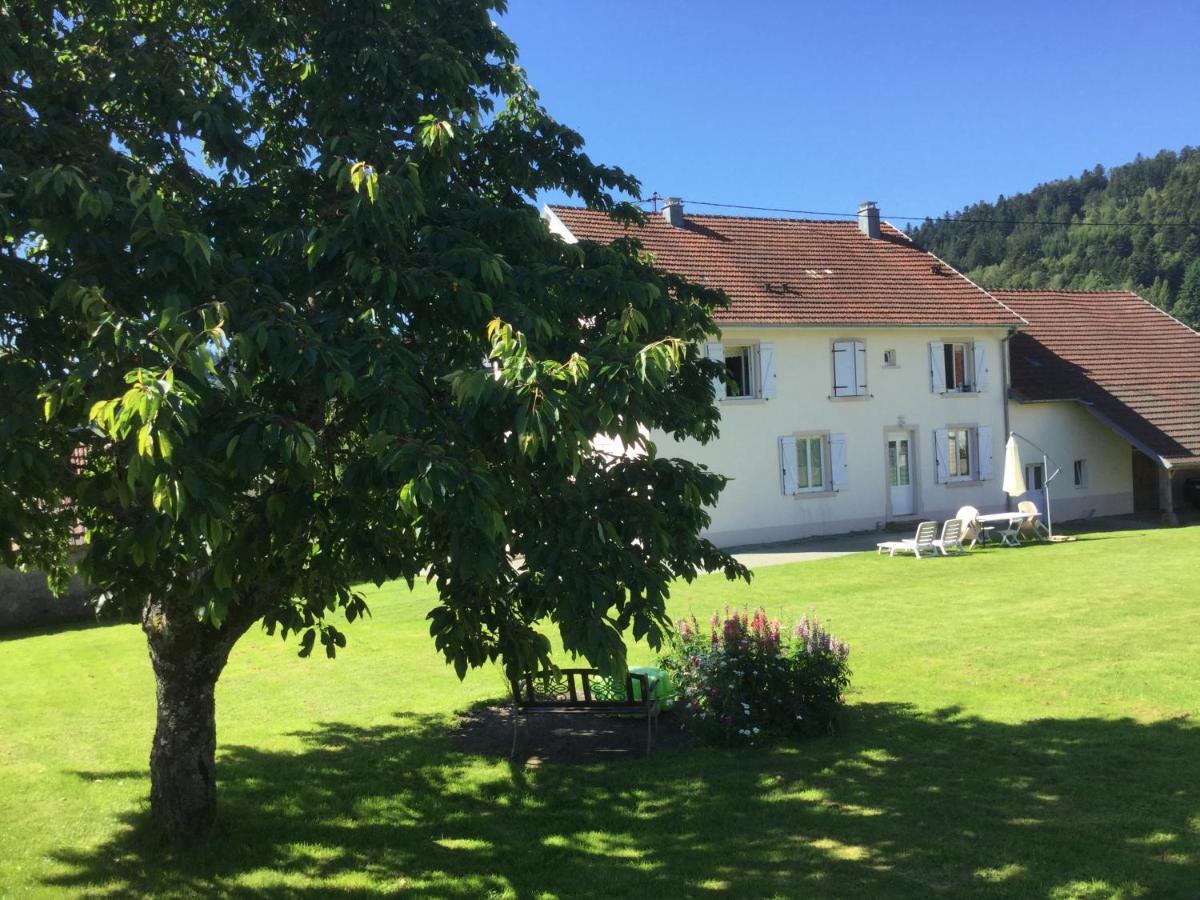 Gite Leonline Sur Les Hauteurs De Masevaux -Au Pied Des Vosges Exterior photo