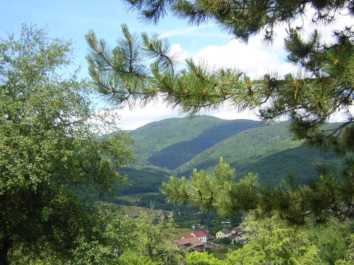 Gite Leonline Sur Les Hauteurs De Masevaux -Au Pied Des Vosges Exterior photo