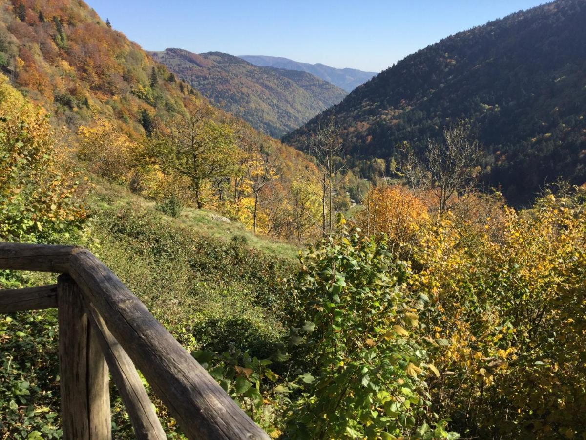 Gite Leonline Sur Les Hauteurs De Masevaux -Au Pied Des Vosges Exterior photo