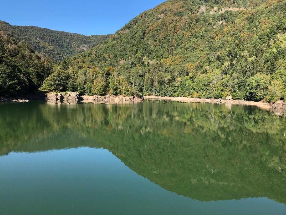 Gite Leonline Sur Les Hauteurs De Masevaux -Au Pied Des Vosges Exterior photo