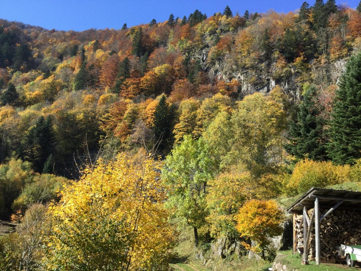 Gite Leonline Sur Les Hauteurs De Masevaux -Au Pied Des Vosges Exterior photo