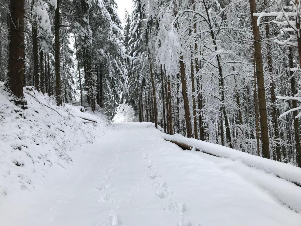 Gite Leonline Sur Les Hauteurs De Masevaux -Au Pied Des Vosges Exterior photo