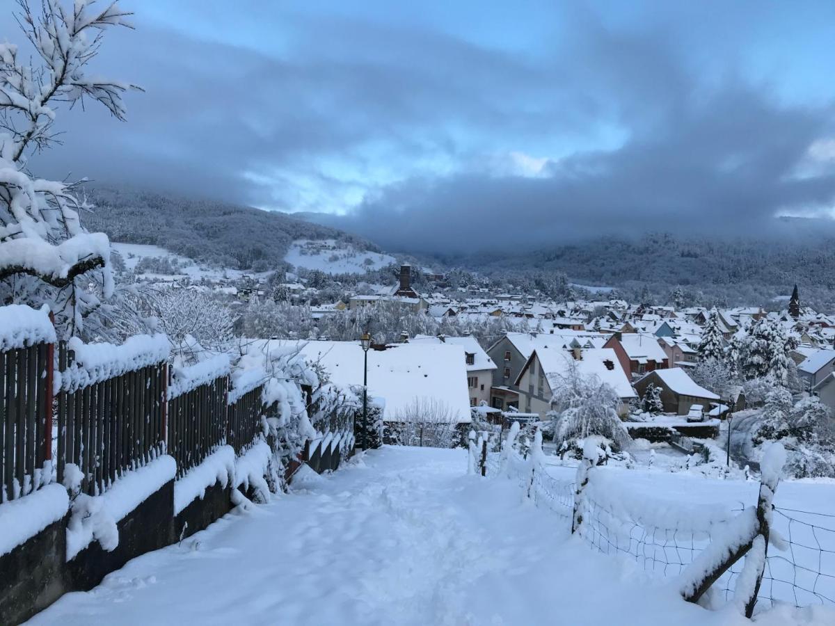 Gite Leonline Sur Les Hauteurs De Masevaux -Au Pied Des Vosges Exterior photo