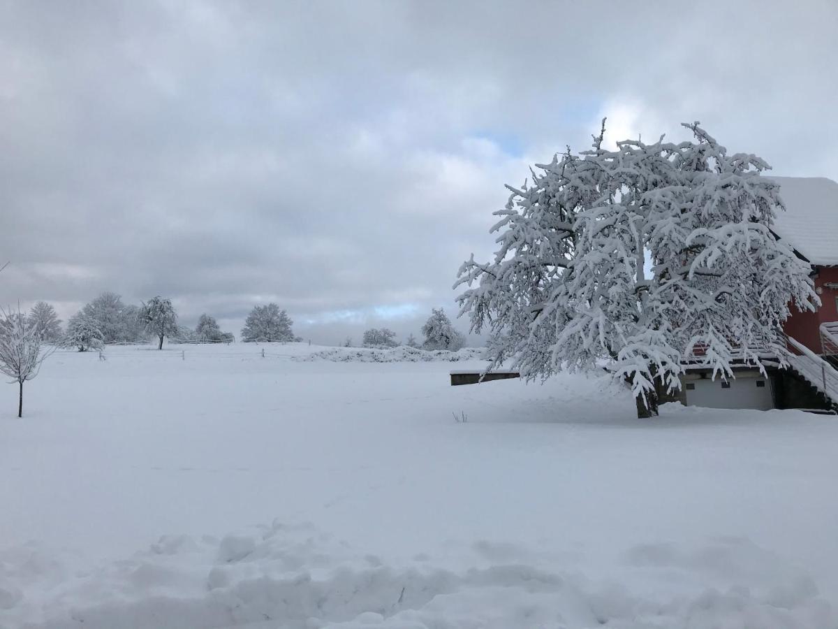 Gite Leonline Sur Les Hauteurs De Masevaux -Au Pied Des Vosges Exterior photo