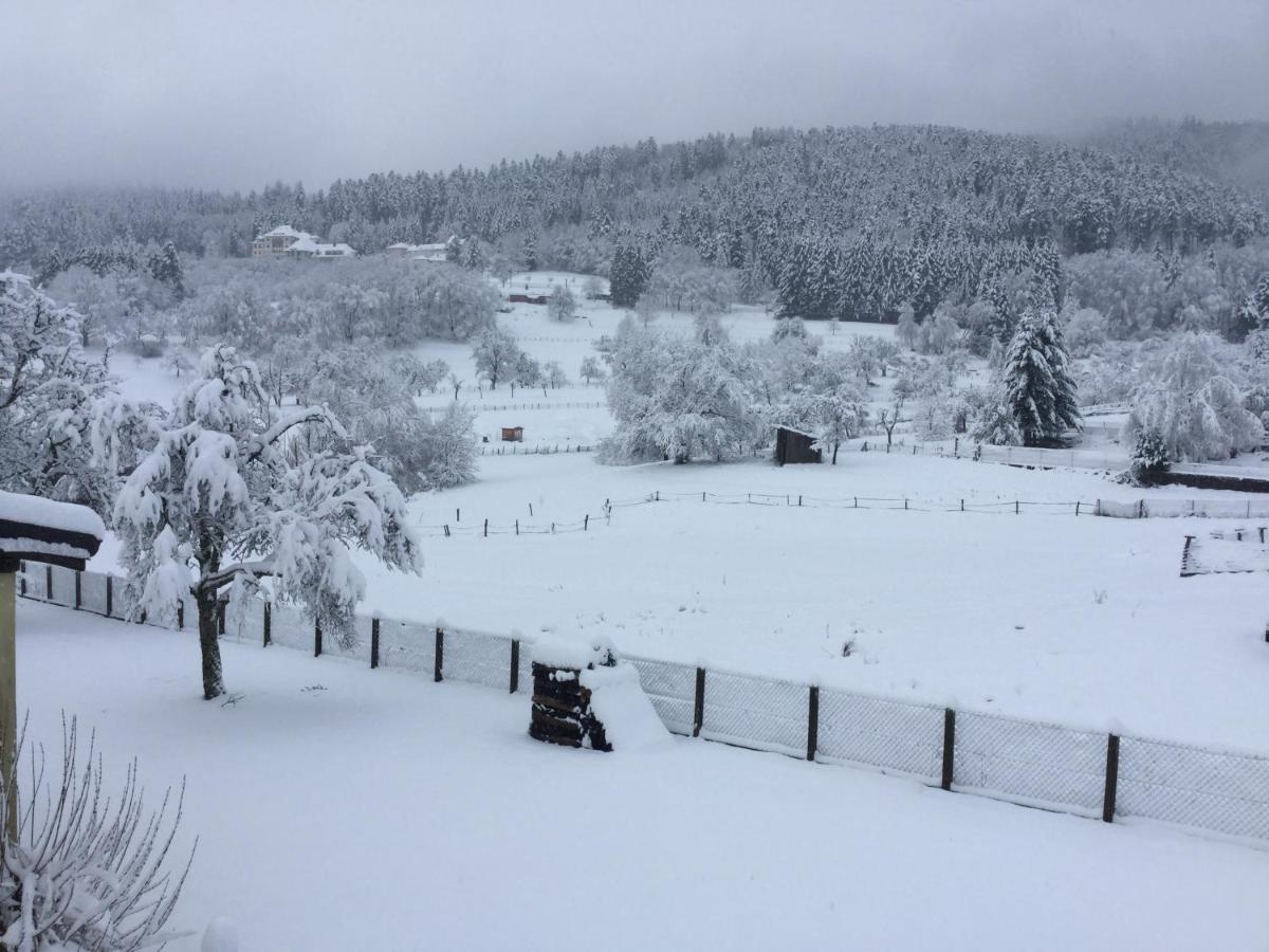 Gite Leonline Sur Les Hauteurs De Masevaux -Au Pied Des Vosges Exterior photo
