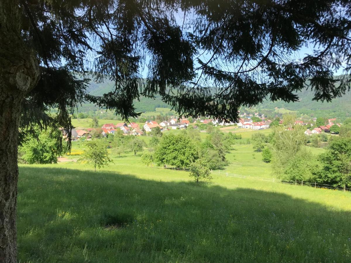 Gite Leonline Sur Les Hauteurs De Masevaux -Au Pied Des Vosges Exterior photo